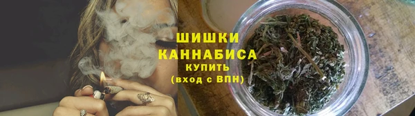 индика Балахна