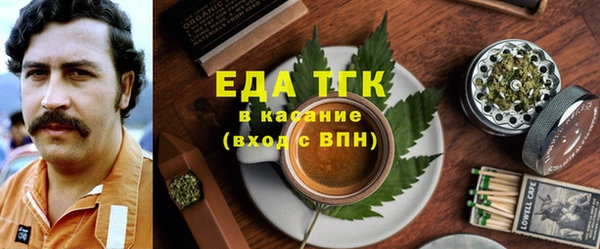 индика Балахна