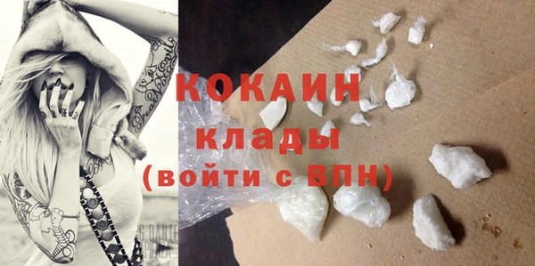 индика Балахна
