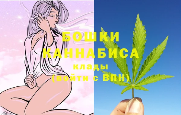 индика Балахна